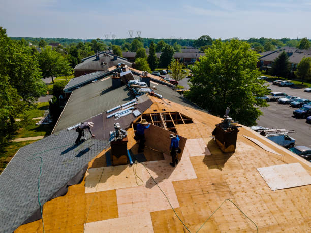 Trusted Storm Damage Roof Repair service in Hastings, FL - Brentwood Metal Roofing